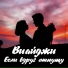 Виайджи