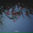 .Filёv