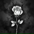 Adhev
