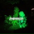 IAMPANACEA