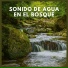 Sonidos de Agua