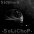 Sideborg