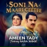 Ameen Tady feat. Sazia Judge