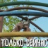 Отдай