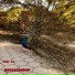 BooGalaMoon