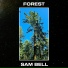 Sam Bell