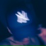 DENRIX