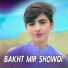 Bakht Mir Showqi