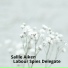 Sallie Aiken