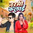 Abhishek Giri