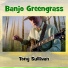 Tony Sullivan