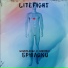 LiteFight