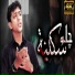 Syed Sajjad Raza