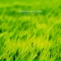 Landscape Sound