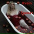 Rvain