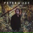 Peter More