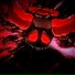 gunbaou, ZMAJOR