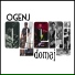 Ogenj