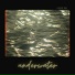 Everfish