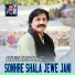 Sanaullah Khan Niazi