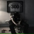 bbysitter300