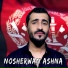 Nosherwan Ashna