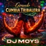 DJ MOYS