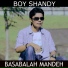 Boy Shandy