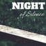 Nighty Night