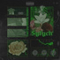 Syfych