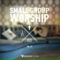 Vineyard Worship feat. Ronnie Mcdermid
