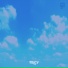 FBLCV