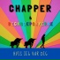 Chapper & Regnbueponyerne