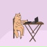 Lora Lang, Chill Kitten