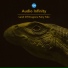 Audio Infinity