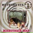 МЕТЕОМАЧТА