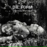 Die Form