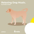 Ambia Music