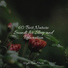 Nature Sound Collection, Meditação Yoga, Zarobi