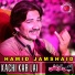 Hamid Jamshaid