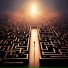 Alert Maze