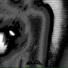 $werve, Shadowy, VISXGE