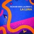 Richard Grey, Laurent C