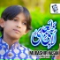 Mubashir Hasan Qadri
