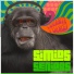 SimioSeniors
