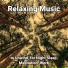 Calm Music, Relaxing Spa Music, Yoga