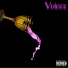 Voicez