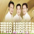 Andesta Trio