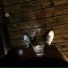 9TAILS