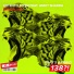 Artento Divini feat. Ankit Sharda vs. DRYM